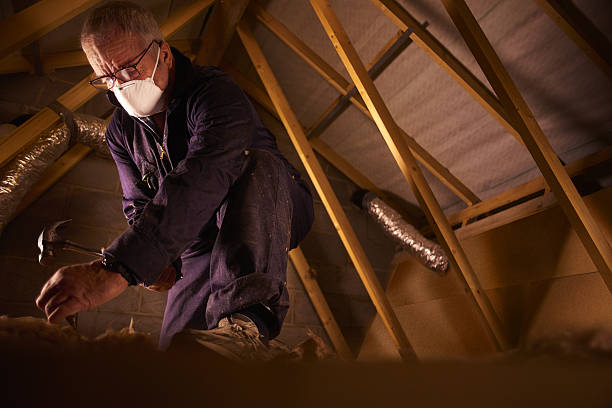 Best Types of Insulation in Sauk Vlage, IL