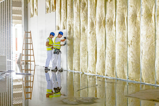Best Insulation for Specific Applications in Sauk Vlage, IL